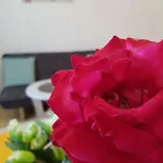 Luna * Τρογκίρ